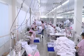 Vietnam to carry out labour force survey in 2017