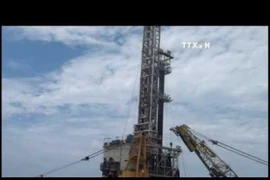 PetroVietnam’s 10-month profits surpass annual target