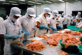 Agro-fishery-forestry exports pick up 3.1 percent 