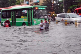 Vietnam makes efforts to minimize natural disaster risks 