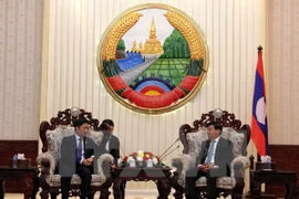 Laos welcomes Vietnam’s projects on goods production, wood processing