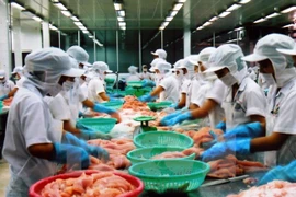 Panama to import Vietnam’s seafood