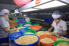 Exporters' outlook for 2016 remains mixed 