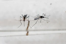 Vietnam readies to tackle Zika virus 