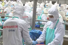 Seafood exports hoped to fetch over 7 billion USD 