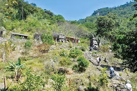 Quang Ninh: Ngoa Van festival to be held annually