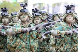 Brunei increases defence spending by 4.7 ptc in 2016 