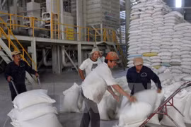 Manufacturers show optimistic business prospects for 2016