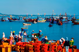 Exhibition features beauty of Hoang Sa Flotilla’s homeland 