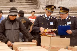 Vietnam strives to reform customs ahead of FTAs