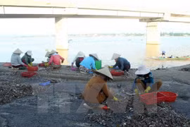 Additional measures sought for pollution-affected central locals