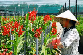 Outstanding farmers to be honoured