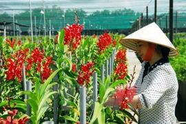 Outstanding farmers to be honoured