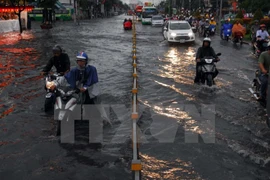  French company wants to invest in HCM City’s infrastructure