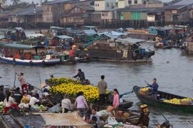 Can Tho preserves Cai Rang Floating Market