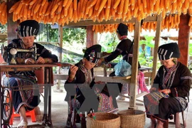 Lao Cai to be Vietnam’s biggest natural tourism hub