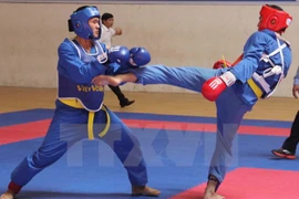 HCM City to host int’l martial arts festival 