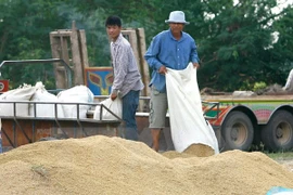 Thailand suspends rice auctions