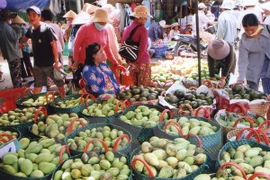 Vietnam exports mangoes to Australia