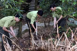 Forest fire risk threatens many localities