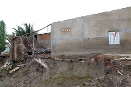 HCM City authorities to fight erosion 