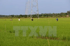 PM suggests hi-tech and organic farming for national agriculture 