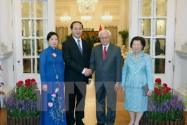 President affirms Vietnam’s wish to boost ties with Singapore