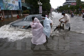 Can Tho asks for Canada’s support in climate change response