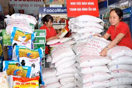 Vietnam, IRRI join hands in developing rice production