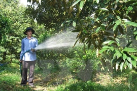German experts help Tien Giang develop cooperatives
