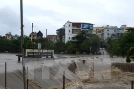 Historic flood predicted to strike Vietnam this year