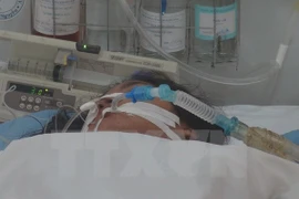 Cambodia records first swine flu death since 2010