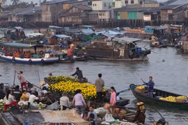 Can Tho preserves Cai Rang Floating Market