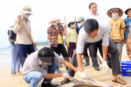 Mass fish death likely due to toxic contamination 