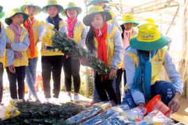 Summer camp brings valuable experiences to children