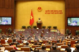 13th National Assembly – five years with a lot of landmarks 