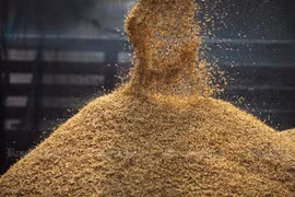 Thai rice producers agree to cut output 