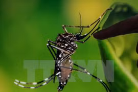US issues Zika travel warning for Southeast Asian countries