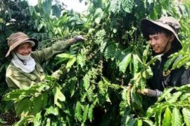 Lam Dong aims to lower poverty rate to 1.9 percent by 2020 