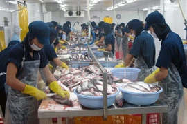 Vietnam appreciates US Senate’s vote to end catfish inspection 