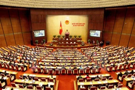 HCM City: Voters pin high hope on new National Assembly