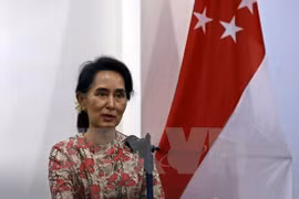 Myanmar state counselor calls for solidarity for long-lasting peace
