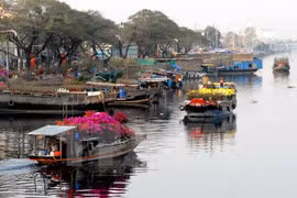 HCM City flowers markets bustling ahead of Tet 
