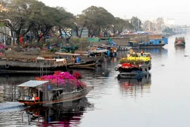 HCM City flowers markets bustling ahead of Tet 