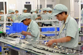Japanese group seeks cooperation in HCM City 