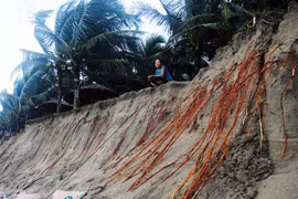 Erosion threatens beach in Lang Co Bay