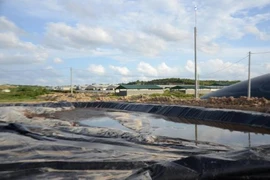 Dak Nong: firm fined for violation of environment regulations 