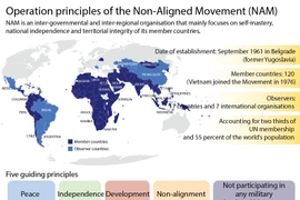 Operation principles of Non-Aligned Movement 
