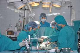 US doctors treat hearts of underprivileged Vietnamese children 