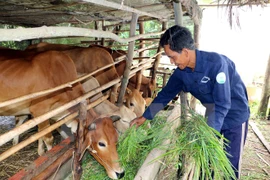 Policy bank helps lower poverty rate in Central Highlands
